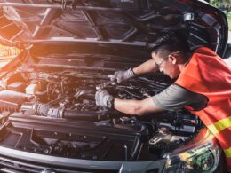 sample product vendor